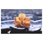 Картина на холсте "Орхидея на камнях" 60х100 см - фото 9313465
