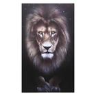 Картина на холсте "Царь зверей" 60х100 см - фото 3216814