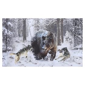 Картина на холсте "Схватка зверей" 60х100 см