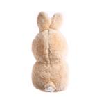 Мягкая игрушка «Заяц», 29 см, цвета МИКС - Фото 3
