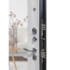 Входная дверь «Да-66 Милли», 970 × 2050 мм, правая, цвет антик серебро / ясень ривьера айс - Фото 2