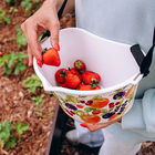 Ёмкость для сбора ягод, 3 л, «Фрукты», белая - фото 32082785