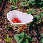 Ёмкость для сбора ягод, 3 л, «Фрукты», белая - фото 32082786