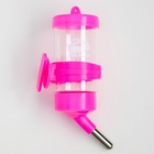 Поилка для грызунов «Пижон», 80 мл, розовая - Фото 2