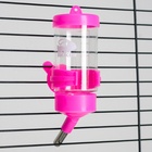 Поилка для грызунов «Пижон», 80 мл, розовая - Фото 6