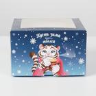 Коробка для капкейков «Тигрята» 16 х 16 х 10см - Фото 2