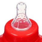 Бутылочка для кормления «Арбузы» ,классическое горло, от 0 мес, 250 мл., цилиндр, с ручками - Фото 4
