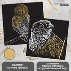 Набор гравюр «Птицы», с металлическим эффектом «золото», 2 шт, 19х19 см - Фото 1