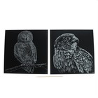Набор гравюр «Птицы», с металлическим эффектом «золото», 2 шт, 19х19 см - Фото 2