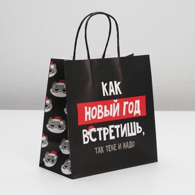 Пакет подарочный новогодний «Так тебе и надо», 22 х 22 х 11 см (комплект 2 шт)