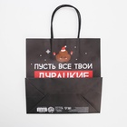 Пакет подарочный новогодний «Пусть мечты сбудутся», 22 х 22 х 11 см 6249079 - фото 16324466