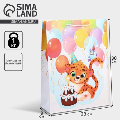 Пакет подарочный ламинированный, упаковка, «С Днём рождения », L 28×38×9 см