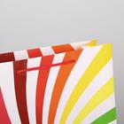 Пакет подарочный ламинированный, упаковка, «Поздравляю», L 28 х 38 х 9 см - Фото 3