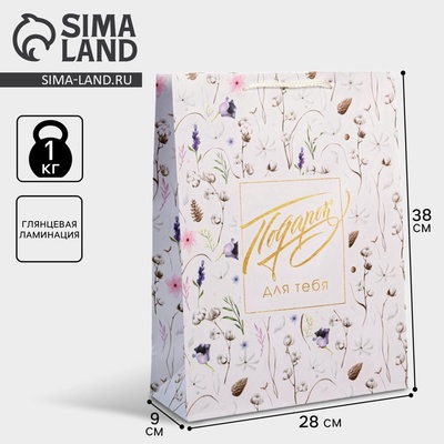 Пакет подарочный ламинированный, упаковка, Gift for you, L 28×38×9 см