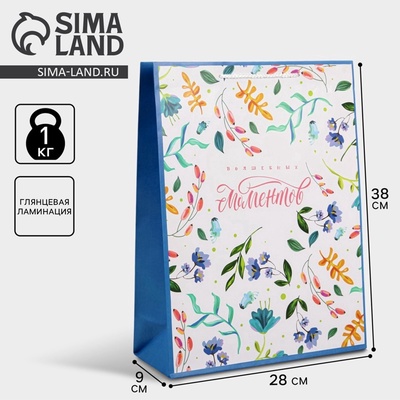 Пакет подарочный ламинированный, упаковка, Best wishes, L 28×38×9 см