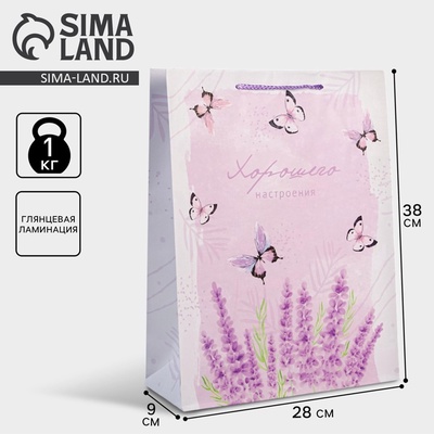 Пакет подарочный ламинированный, упаковка, Special for you, L 28×38×9 см