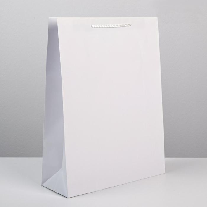 Пакет подарочный ламинированный, упаковка, «Белый», L 28 х 38 х 9 см - Фото 1