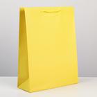 Пакет подарочный ламинированный, упаковка, «Жёлтый», L 28 х 38 х 9 см - фото 9316425