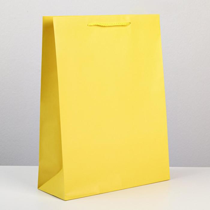 Пакет подарочный ламинированный, упаковка, «Жёлтый», L 28 х 38 х 9 см