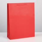 Пакет подарочный ламинированный, упаковка, «Красный», L 28 х 38 х 9 см - фото 320427663