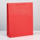 Пакет подарочный ламинированный, упаковка, «Красный», L 28 х 38 х 9 см 6582787