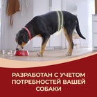 Сухой корм Purina One medium/maxi для взрослых собак, курица/рис, 10 кг - Фото 11