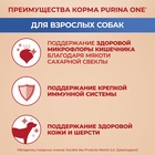 Сухой корм Purina One medium/maxi для взрослых собак, курица/рис, 10 кг - Фото 5