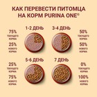 Сухой корм Purinа One medium/maxi для взрослых собак, курица/рис, 10 кг - Фото 8