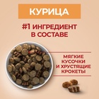 Сухой корм Purina One medium/maxi для взрослых собак, курица/рис, 10 кг - Фото 10