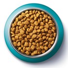 Сухой корм Purinа One для кошек, индейка/рис, 1.5 кг - фото 9096845