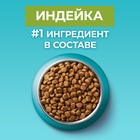 Сухой корм Purina One для кошек, индейка/рис, 1.5 кг - Фото 9