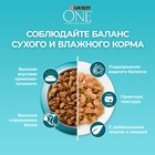 Сухой корм Purina One для кошек, курица/злаки, 200 г - Фото 5