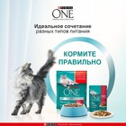 Влажный корм Purina One для кошек, говядина/морковь, 75 г - Фото 3