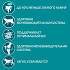 Влажный корм Purinа One для кошек, говядина/морковь, 75 г - Фото 4