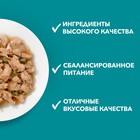 Влажный корм Purina One для кошек, говядина/морковь, 75 г - Фото 7