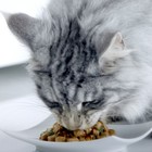 Влажный корм Purina One для кошек, говядина/морковь, 75 г - Фото 11