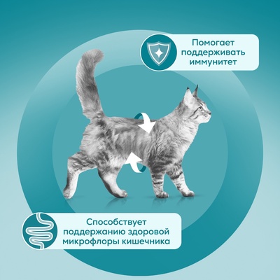 Влажный корм Purina One для домашних кошек, курица/морковь, 75 г