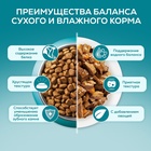 Влажный корм Purina One для котят, курица/морковь, 75 г - Фото 11