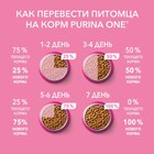 Влажный корм Purinа One для котят, курица/морковь, 75 г - Фото 8