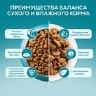 Влажный корм Purina One для стерилизованных кошек, курица/фасоль, 75 г - Фото 11