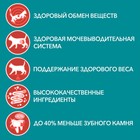 Влажный корм Purinа One для стерилизованных кошек, курица/фасоль, 75 г - Фото 3