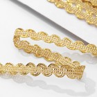 Тесьма декоративная «Волна», 9 мм, 10 ± 1 м, цвет золотой - Фото 2