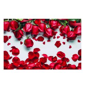 Фотофон винил "Красные розы" 100х150 см