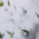 Фотофон двусторонний бумага 300 гр "Тень и листья" 57х87 см - Фото 5