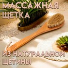 Щетка массажная с длинной ручкой, натуральная щетина "Добропаровъ" 38,5см х 8см х 4,5см 7052971 - фото 260549