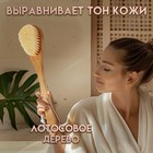 Щетка массажная с длинной ручкой, искусственная щетина "Добропаровъ" 38,5см х 8см х 4,5см 7052972 - фото 13910640