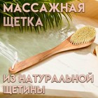 Щетка массажная с длинной ручкой, тампико "Добропаровъ" 38,5см х 8см х 4,5см 7052973 - фото 260558