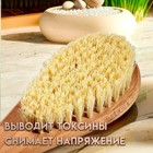 Щетка массажная с длинной ручкой, тампико "Добропаровъ" 38,5см х 8см х 4,5см 7052973 - фото 260559