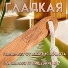 Щетка массажная с длинной ручкой, тампико "Добропаровъ" 38,5см х 8см х 4,5см 7052973 - фото 260561