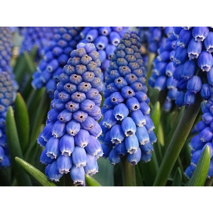 Have a positive morning everyone and congratulate everyone on World Smile Day !!